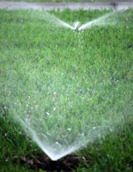 Our sprinkler technicians recommend head to head coverage