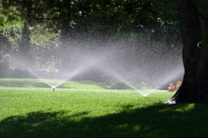 high contrast sprinklers