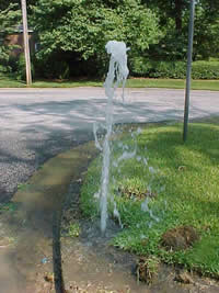 Broken Rain Bird sprinkler head in San Jose needs replacement