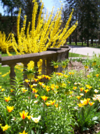 San Jose landscaping installation 